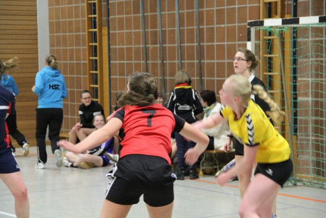 2016_01_23 Landesliga Frauen